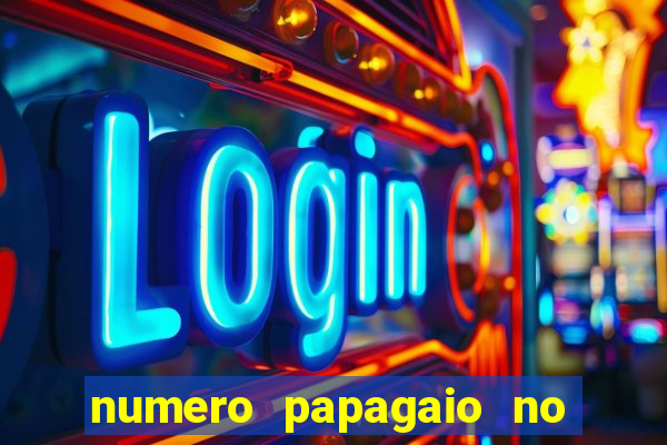 numero papagaio no jogo do bicho