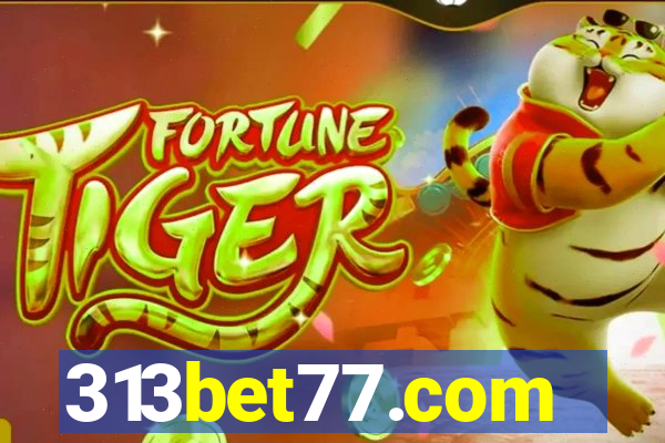 313bet77.com