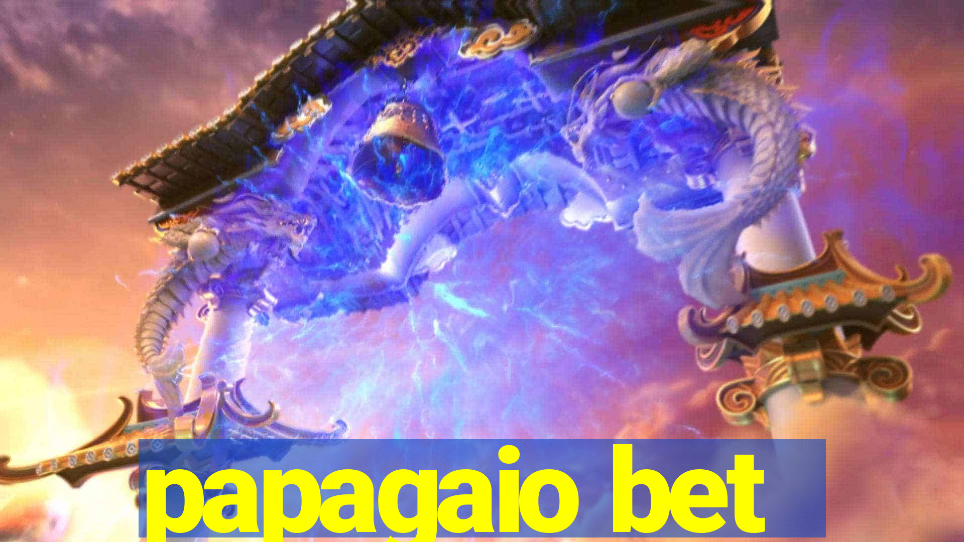 papagaio bet