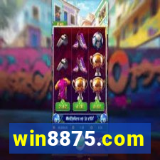 win8875.com