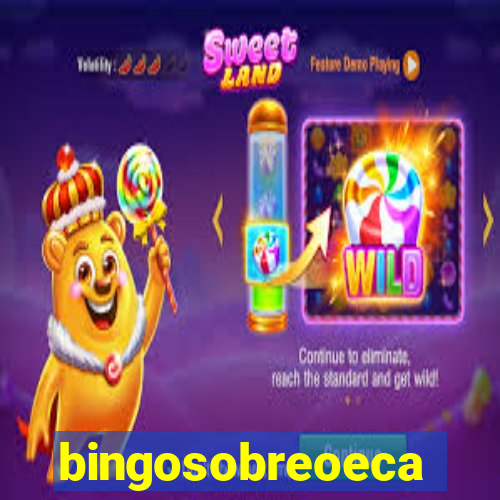 bingosobreoeca