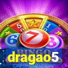 dragao5