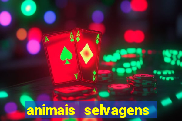 animais selvagens fotos e nomes