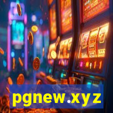 pgnew.xyz