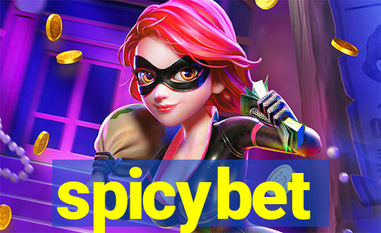 spicybet-2.com